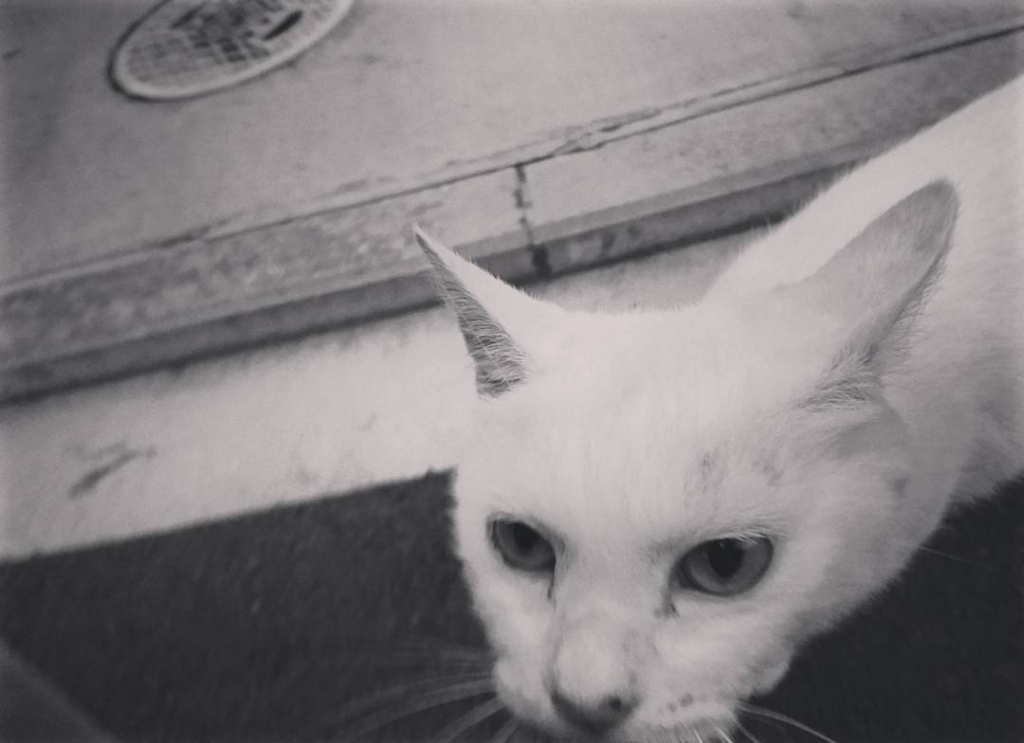 f:id:hideack:20170819105640j:plain