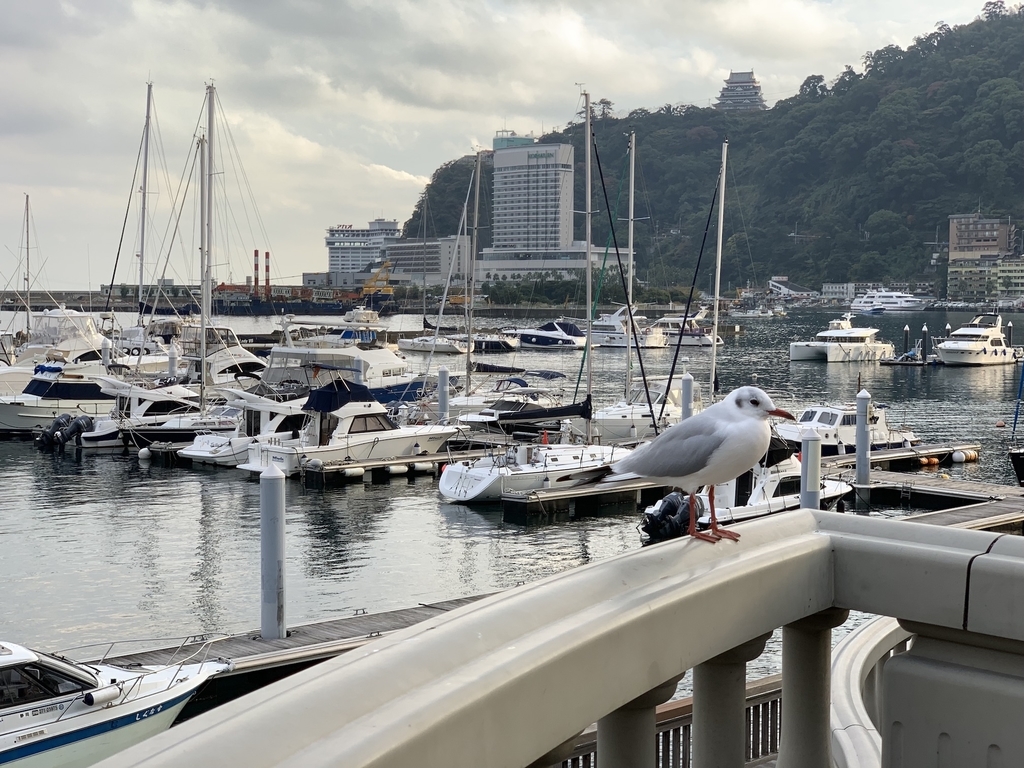 f:id:hideack:20181122153711j:plain