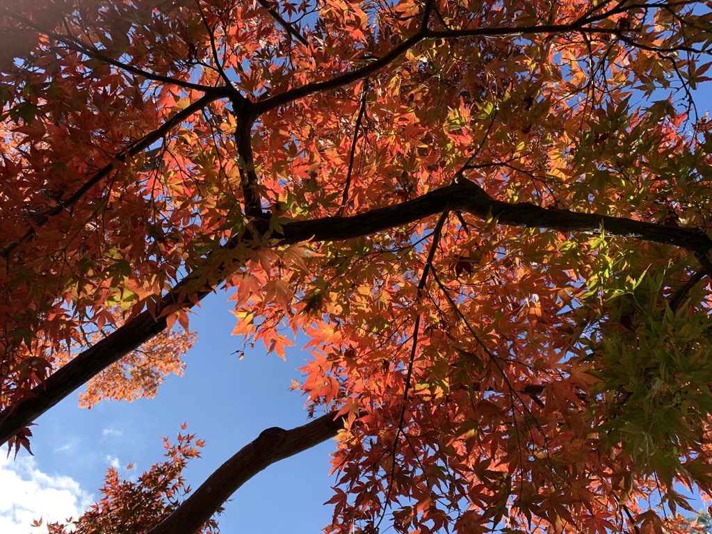 f:id:hideack:20181123121515j:plain