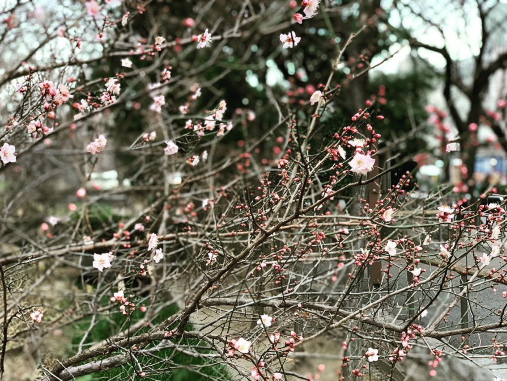 f:id:hideack:20190201134654p:plain