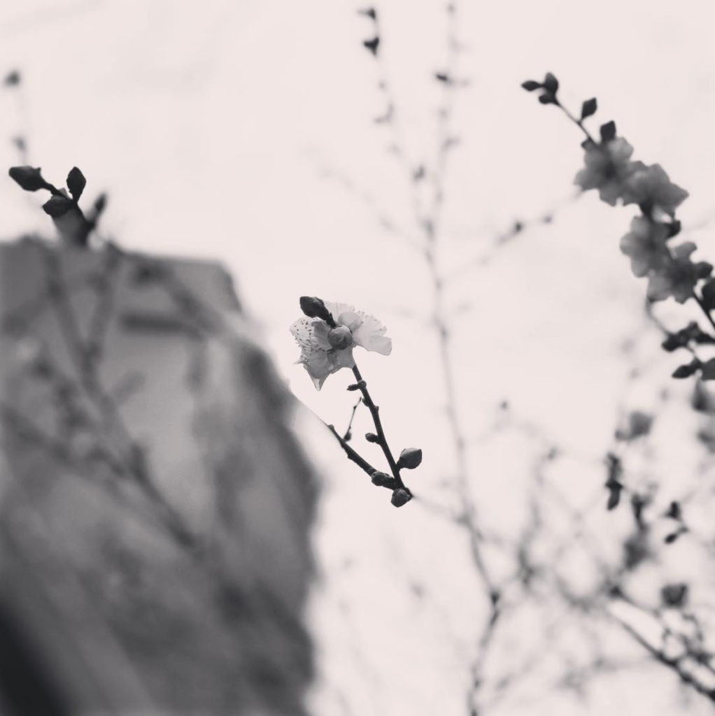 f:id:hideack:20190213230734p:image:w600