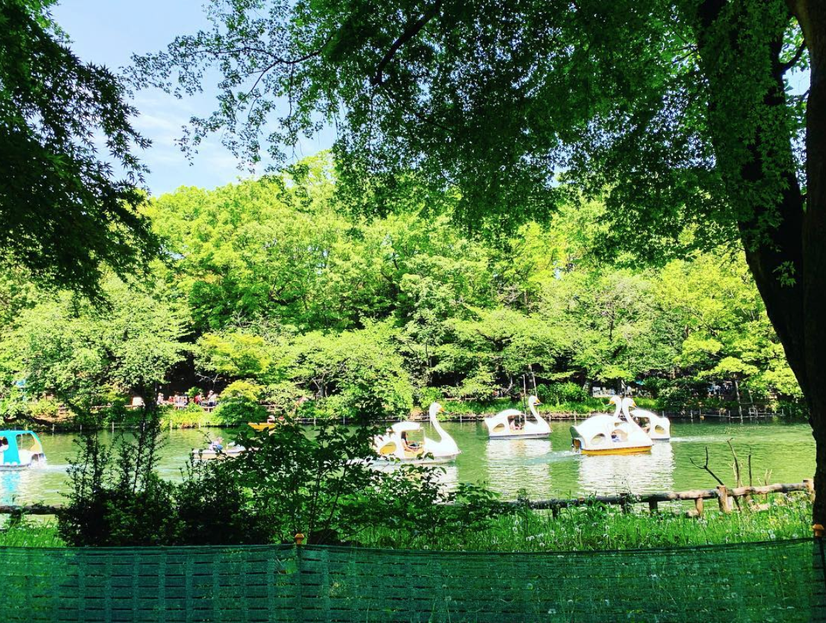 f:id:hideack:20190506144333p:plain