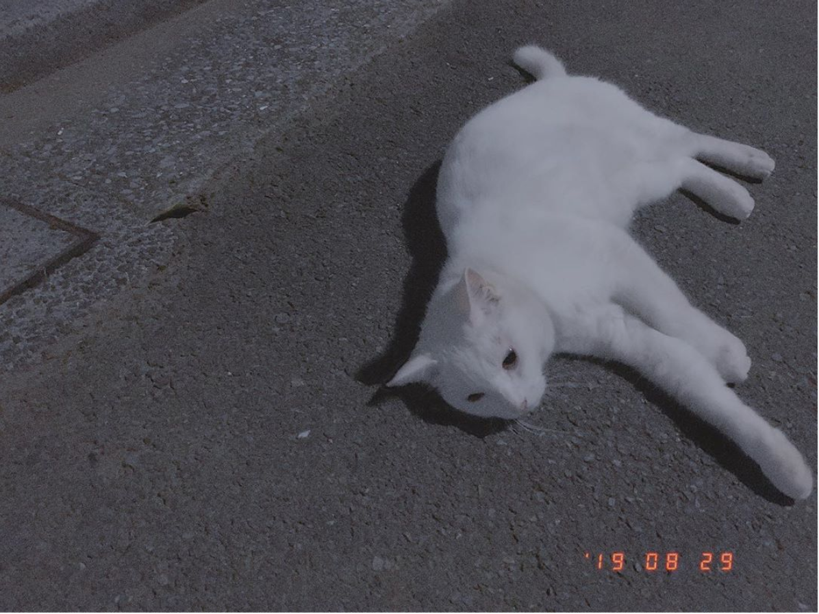 f:id:hideack:20190831181604p:plain f:id:hideack:20190831181604p:plain