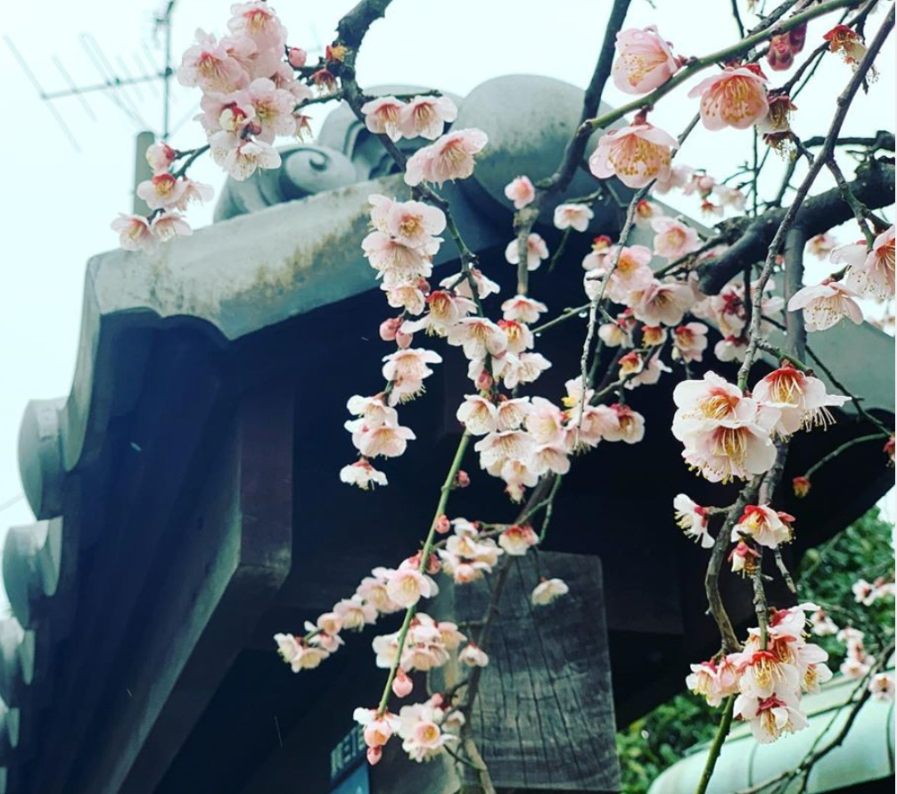 f:id:hideack:20200218220255p:image:w500