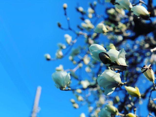 f:id:hideack:20200307180350j:image:w500