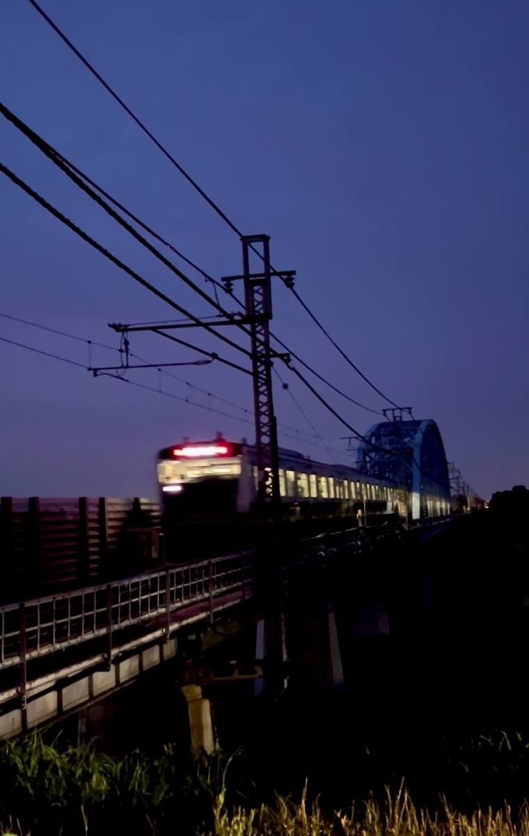 夕闇迫る荒川サイクリングロード＆埼京線荒川橋梁 - 気ままなピークハンターズの忘備録