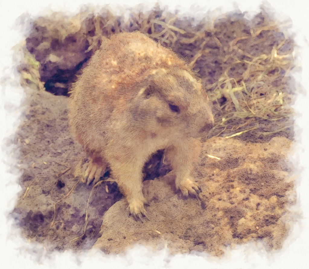 f:id:hideakii:20170918141136j:plain