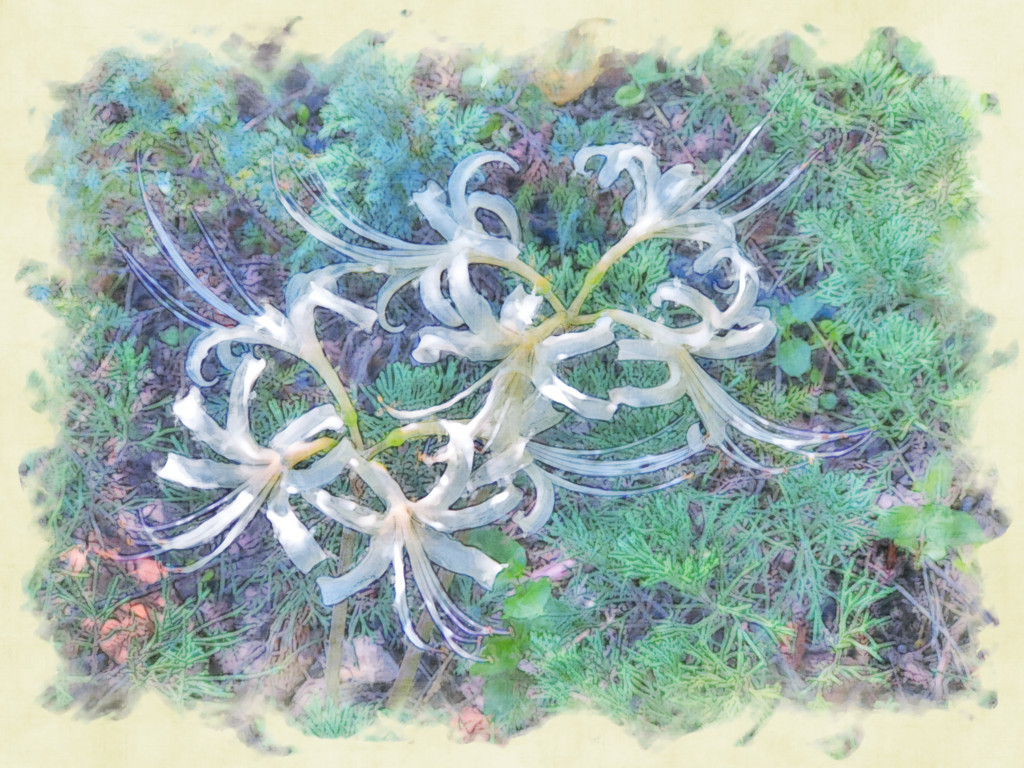 f:id:hideakii:20170924080059j:plain