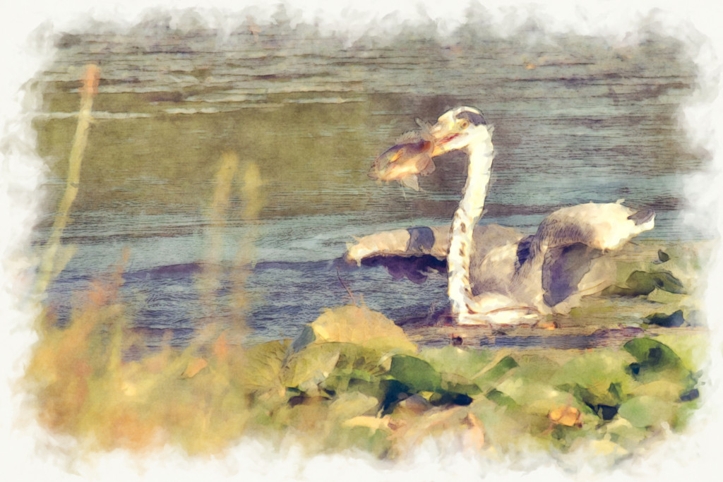 f:id:hideakii:20180701124616j:plain