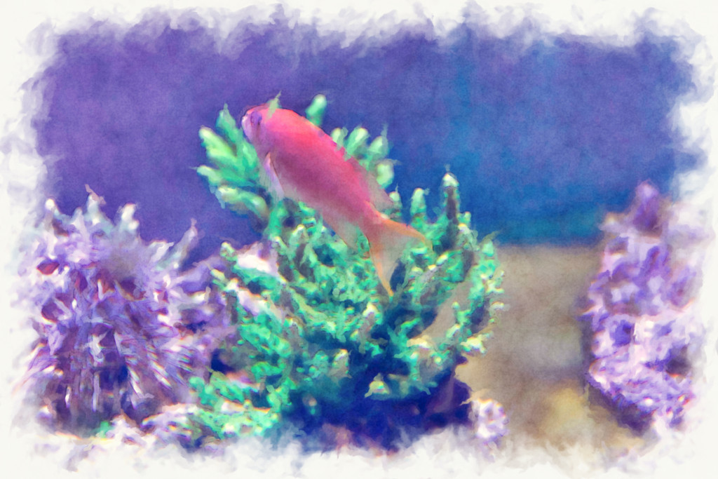 f:id:hideakii:20180716072237j:plain