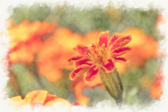 f:id:hideakii:20180805155622p:plain