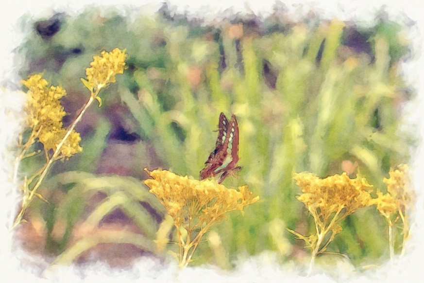 f:id:hideakii:20180826083909j:plain