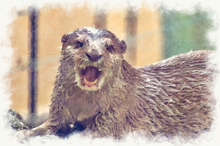 f:id:hideakii:20181012180753j:plain