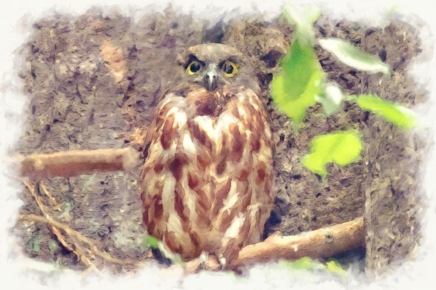 f:id:hideakii:20181019080111j:plain