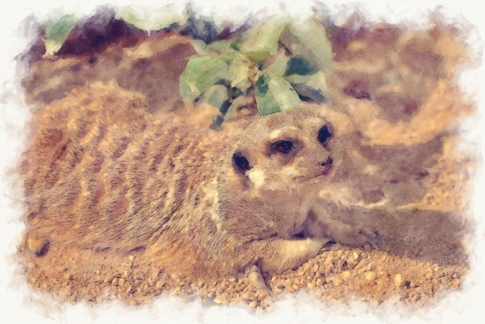 f:id:hideakii:20190127083722j:plain