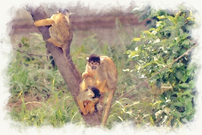 f:id:hideakii:20190210083637j:plain f:id:hideakii:20190210083637j:plain