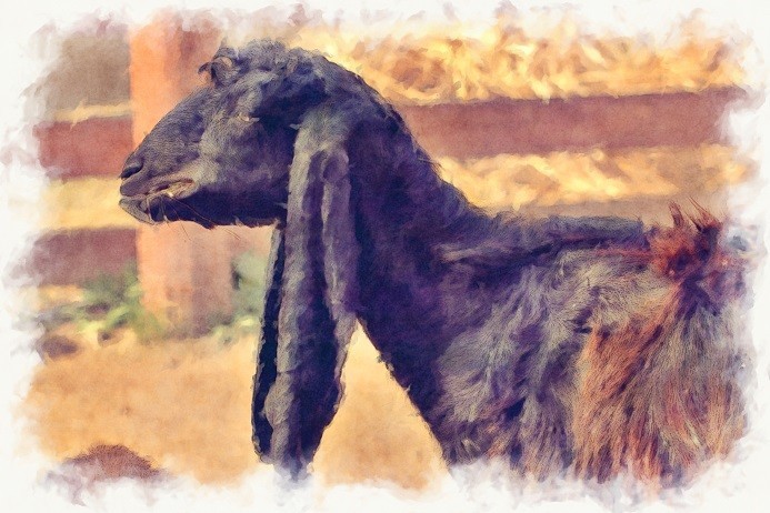 f:id:hideakii:20190223101501j:plain