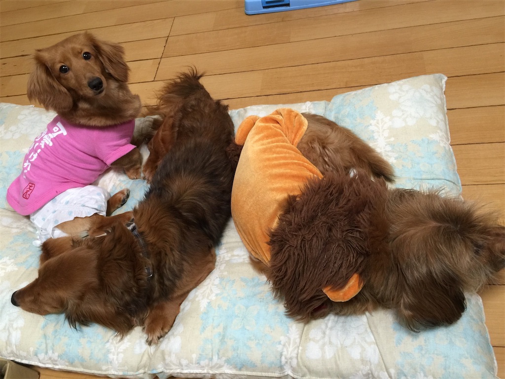 f:id:hideakimhappy:20200319143442j:image