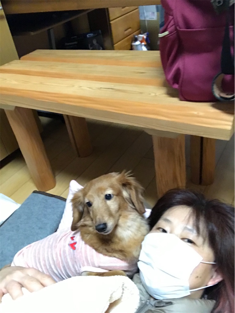 f:id:hideakimhappy:20200319144239j:image