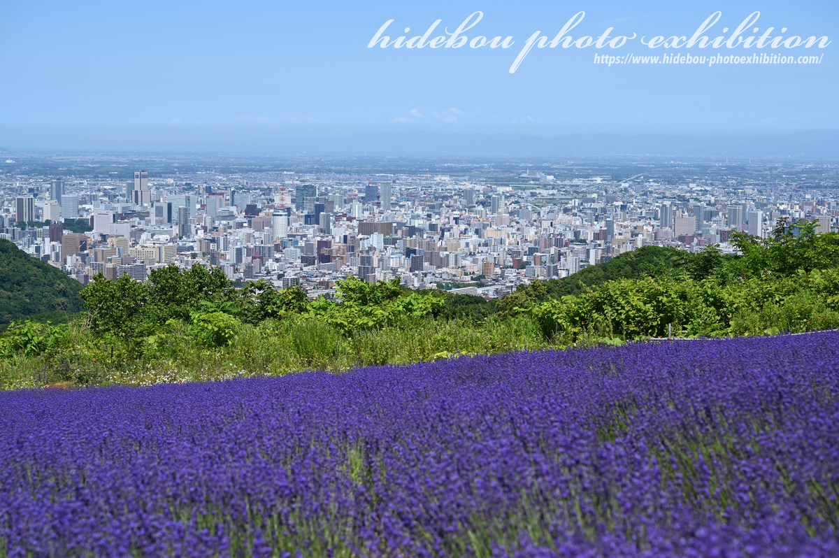 f:id:hidebou-mk:20210812231638j:plain