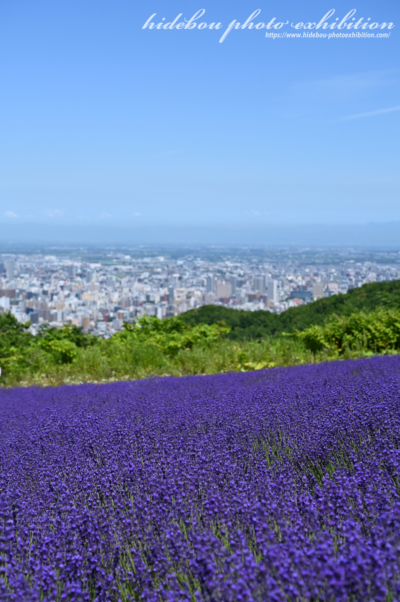 f:id:hidebou-mk:20210812231822j:plain