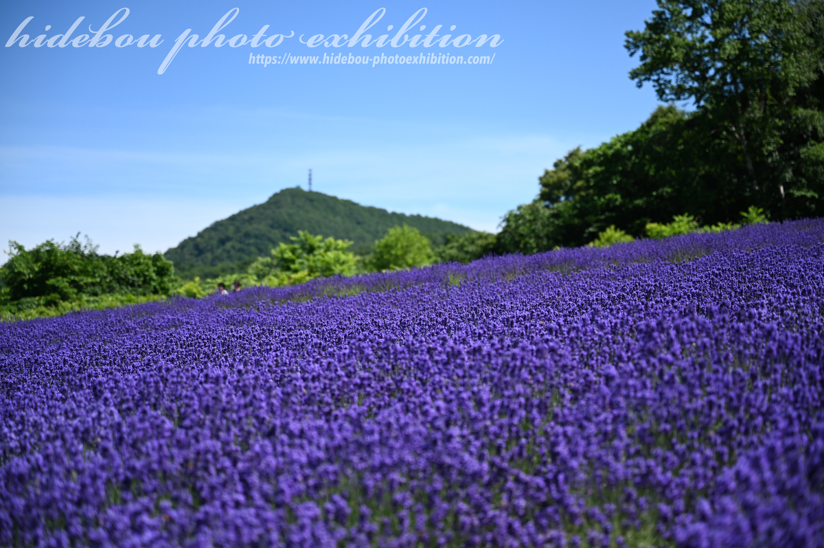 f:id:hidebou-mk:20210812231933j:plain