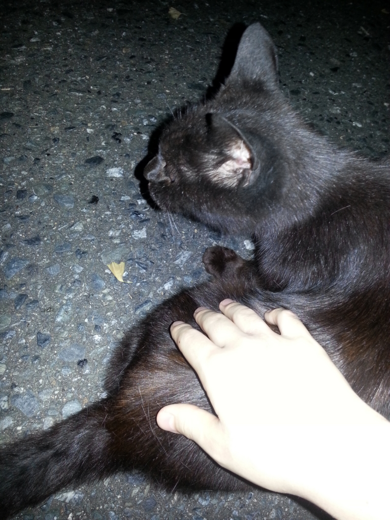 f:id:hidebouda:20160726152033j:plain