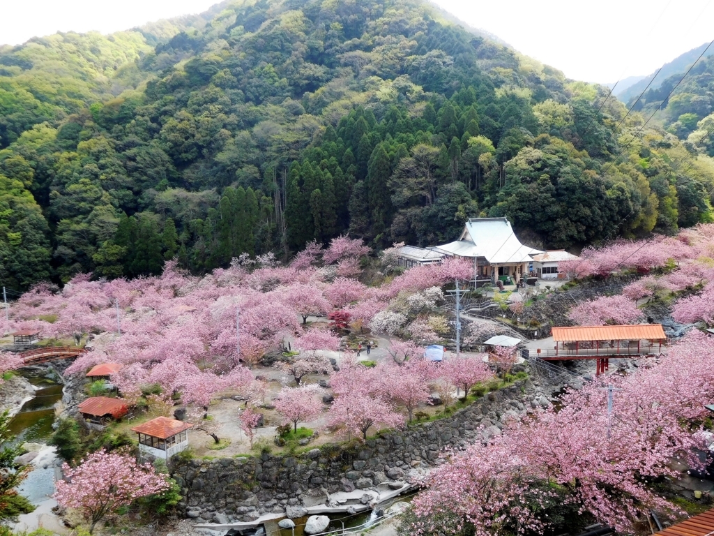 f:id:hidechan3659:20180412071310j:plain f:id:hidechan3659:20180412071310j:plain