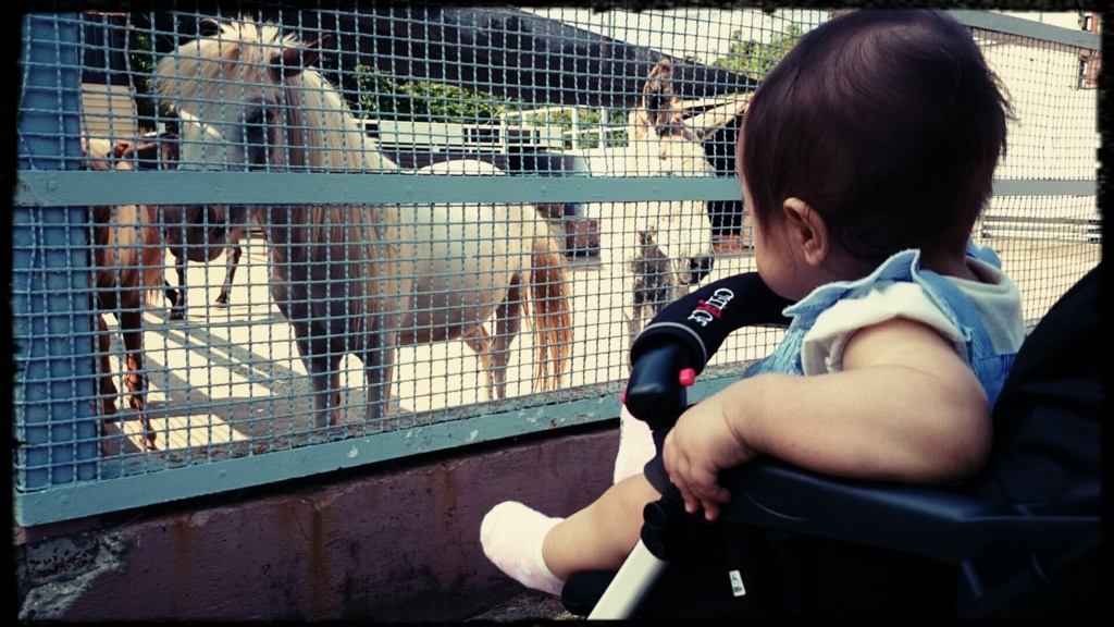 f:id:hidechichi:20170711144114j:plain