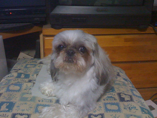 f:id:hidecr:20080823214049j:image
