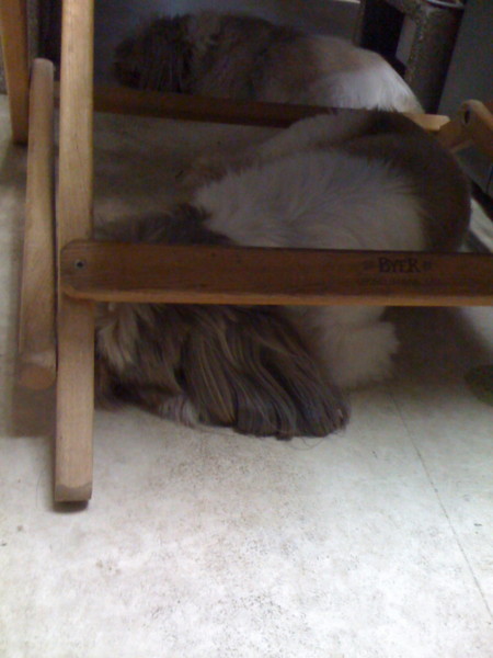 f:id:hidecr:20090906161335j:image