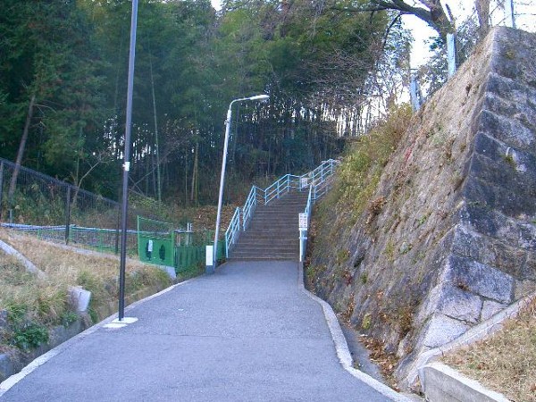 f:id:hidecr:20100111144002j:image f:id:hidecr:20100111144002j:image