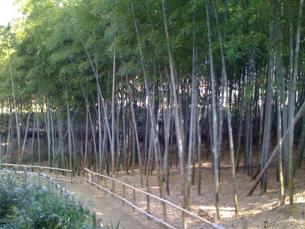 f:id:hidecr:20100214200157j:image