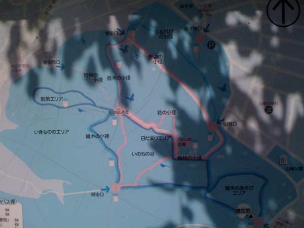 f:id:hidecr:20100214200201j:image