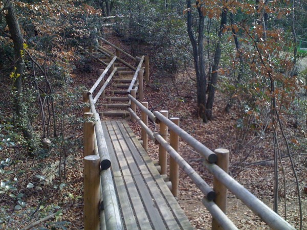 f:id:hidecr:20100214200434j:image