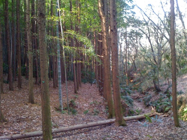 f:id:hidecr:20100214200451j:image