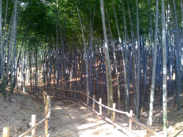 f:id:hidecr:20100214200455j:image