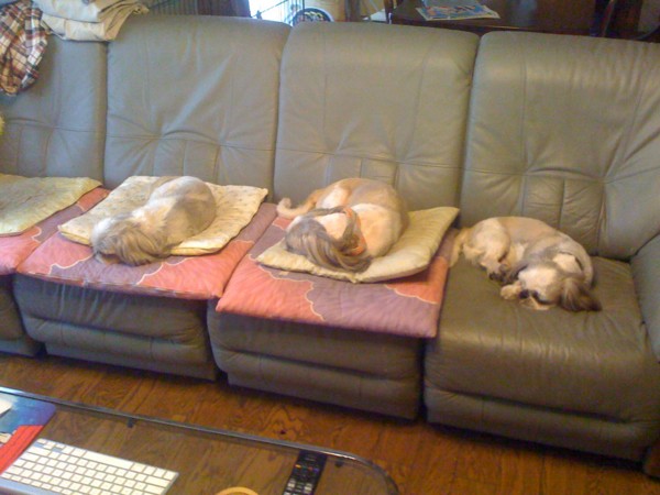 f:id:hidecr:20111010230805j:image