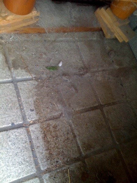 f:id:hidecr:20111030071013j:image