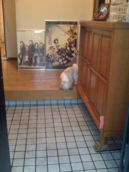 f:id:hidecr:20111030071021j:image