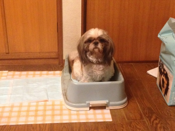 f:id:hidecr:20111210195413j:image