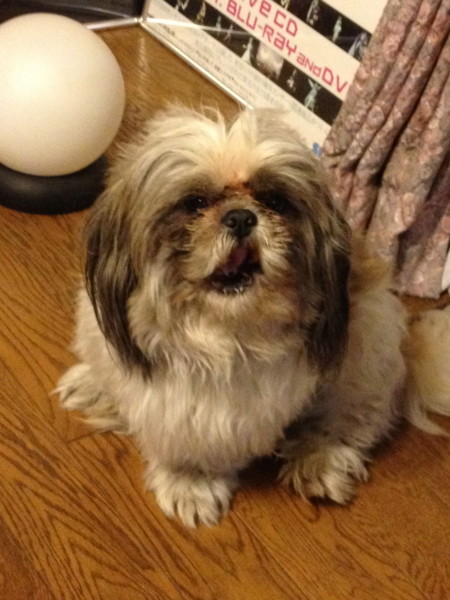 f:id:hidecr:20120501220905j:image