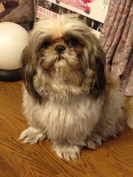 f:id:hidecr:20120501220906j:image