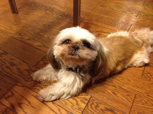 f:id:hidecr:20120501220907j:image