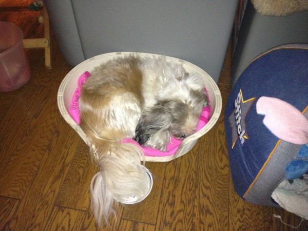 f:id:hidecr:20121118144653j:image
