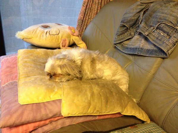f:id:hidecr:20121118144655j:image