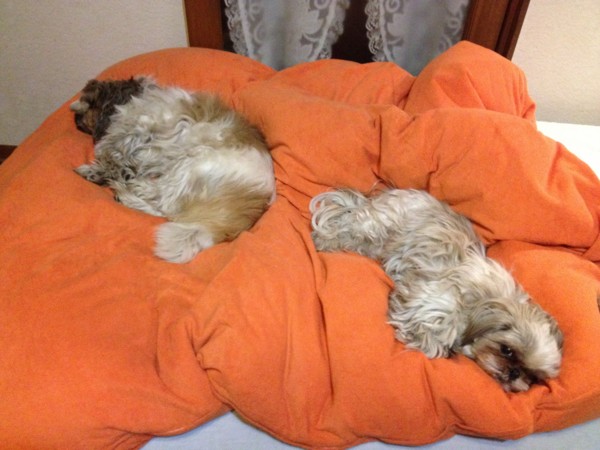 f:id:hidecr:20121118144656j:image