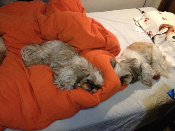 f:id:hidecr:20121118144657j:image