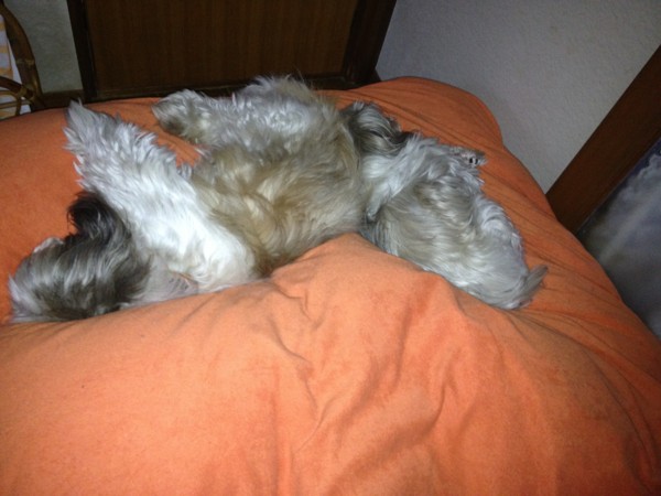 f:id:hidecr:20121118144658j:image