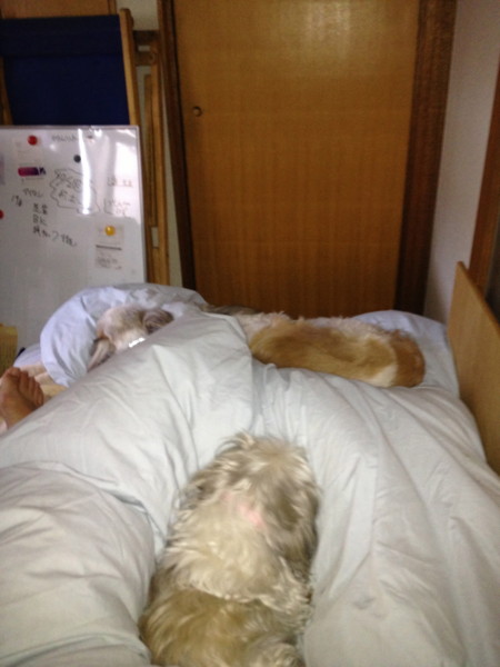 f:id:hidecr:20131219211355j:image